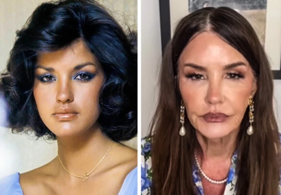  Can You Still Recognize Them?